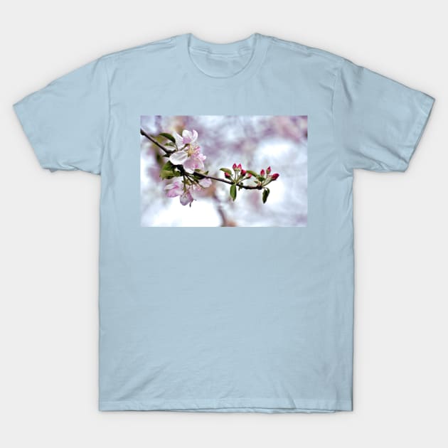 Spring Cherry Blossom Branch T-Shirt by A Thousand Words Photography